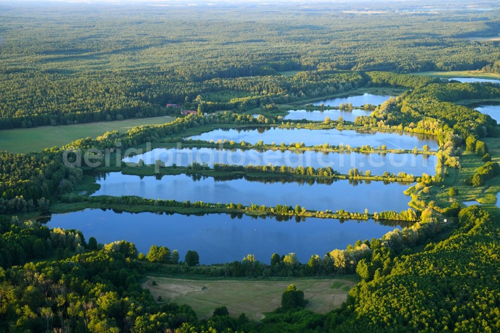 Aerial photograph Rechlin - Shore areas of the ponds for fish farming on Woterfitzsee in Rechlin in the state Mecklenburg - Western Pomerania, Germany