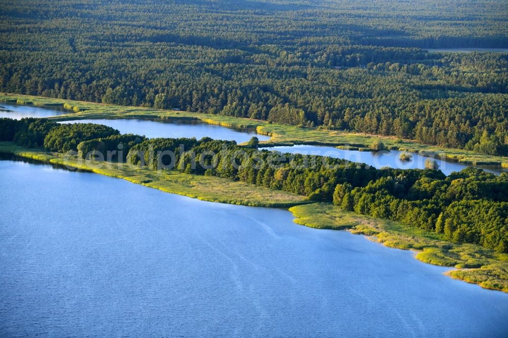 Rechlin from above - Shore areas of the ponds for fish farming on Woterfitzsee in Rechlin in the state Mecklenburg - Western Pomerania, Germany