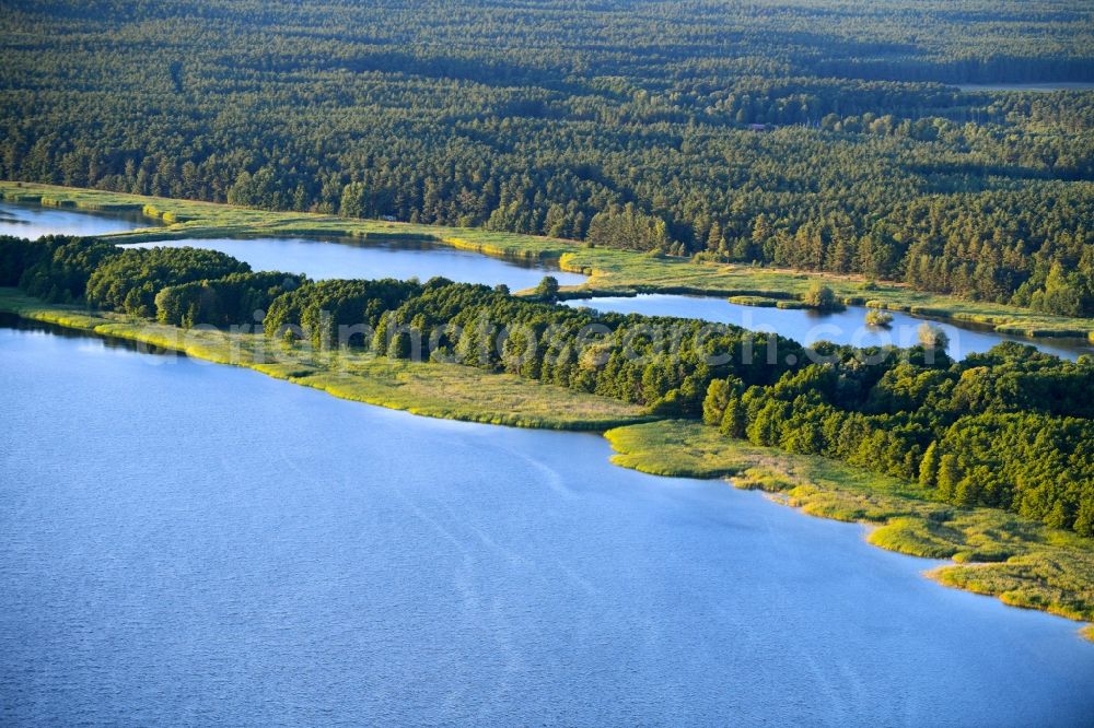 Rechlin from the bird's eye view: Shore areas of the ponds for fish farming on Woterfitzsee in Rechlin in the state Mecklenburg - Western Pomerania, Germany