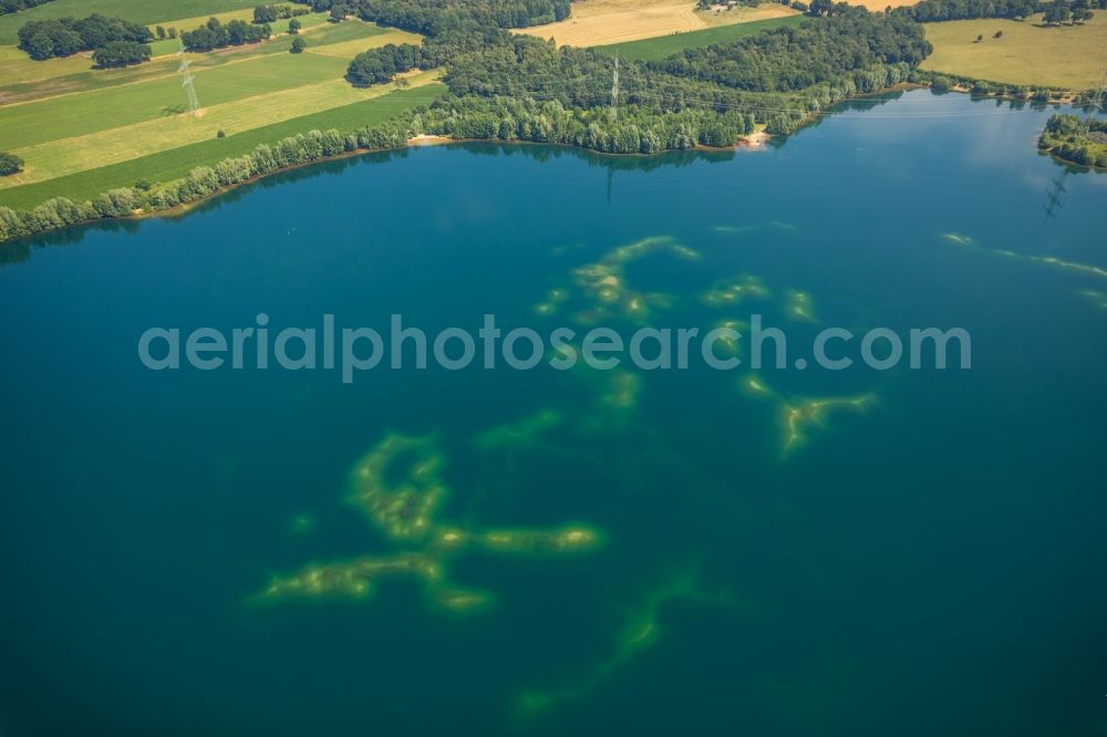 Aerial image Voerde (Niederrhein) - Riparian areas on the lake area of Tenderingssee in Voerde (Niederrhein) in the state North Rhine-Westphalia, Germany