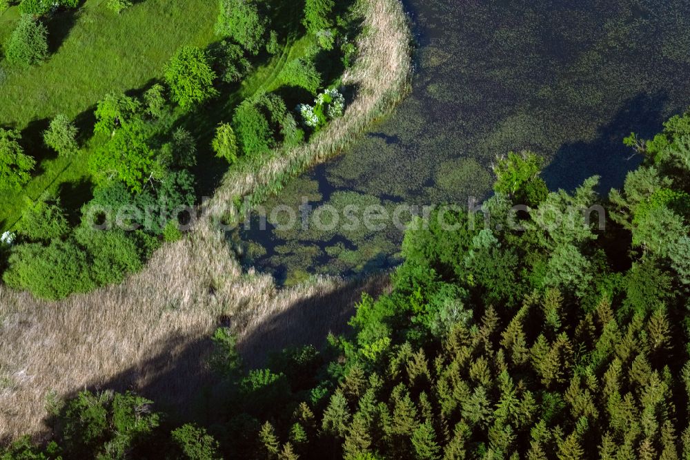 Salem from the bird's eye view: Riparian areas on the lake area of in Salem in the state Baden-Wuerttemberg, Germany