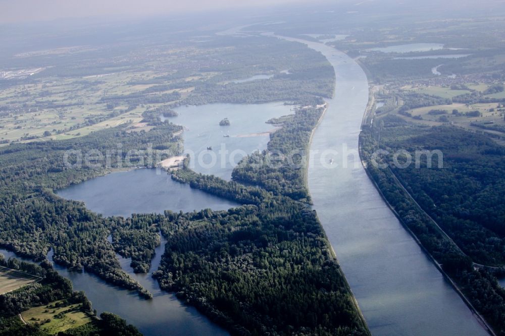 Elchesheim-Illingen from the bird's eye view: Channel flow and river banks of the waterway shipping on the Rhine river near Goldkanal in Elchesheim-Illingen in the state Baden-Wuerttemberg