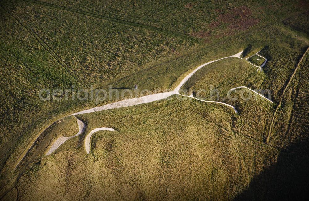 Uffington from the bird's eye view: 16.10.2008 Uffington Blick auf das Uffington White Horse. Das stilisierte Pferdebild mit den Ausmaßen von 107 x 37 Meter ist ein sogenanntes Scharrbild, das durch die darunterliegende Kreide sichtbar wird. Neuere Messungen datieren das Uffington-Pferd in die frühe Eisen- oder späte Bronzezeit. View of the Uffington White Horse. The stylized horse picture, measuring 107 x 37 meters, is a geoglyph that is visible through the underlying chalk. Recent measurements date the Uffington horse in the early Iron Age or late Bronze Age.