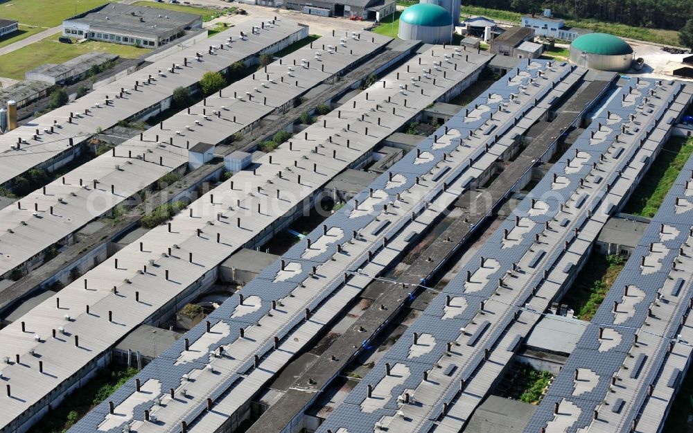 Aerial image Burgstall OT Sandbeiendorf - View of arrangement of the van Gennip Tierzuchtanlagen GmbH & Co. KG in the district Sandbeiendorf of the town Burgstall in Saxony-Anhalt