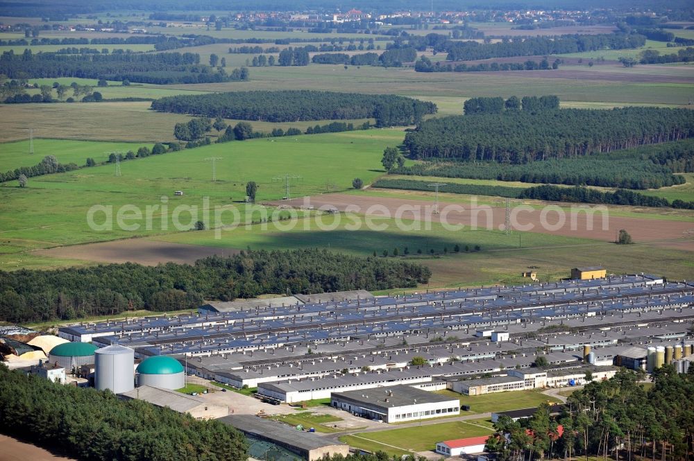 Burgstall OT Sandbeiendorf from the bird's eye view: View of arrangement of the van Gennip Tierzuchtanlagen GmbH & Co. KG in the district Sandbeiendorf of the town Burgstall in Saxony-Anhalt