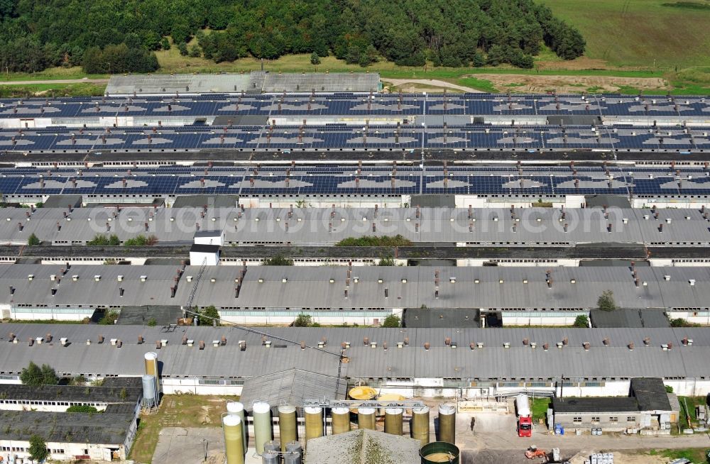 Aerial image Burgstall OT Sandbeiendorf - View of arrangement of the van Gennip Tierzuchtanlagen GmbH & Co. KG in the district Sandbeiendorf of the town Burgstall in Saxony-Anhalt