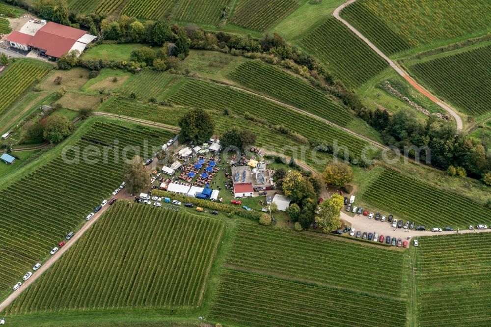 Ettenheim from the bird's eye view: Event area Kaiserbergfest in Ettenheim in the state Baden-Wuerttemberg, Germany