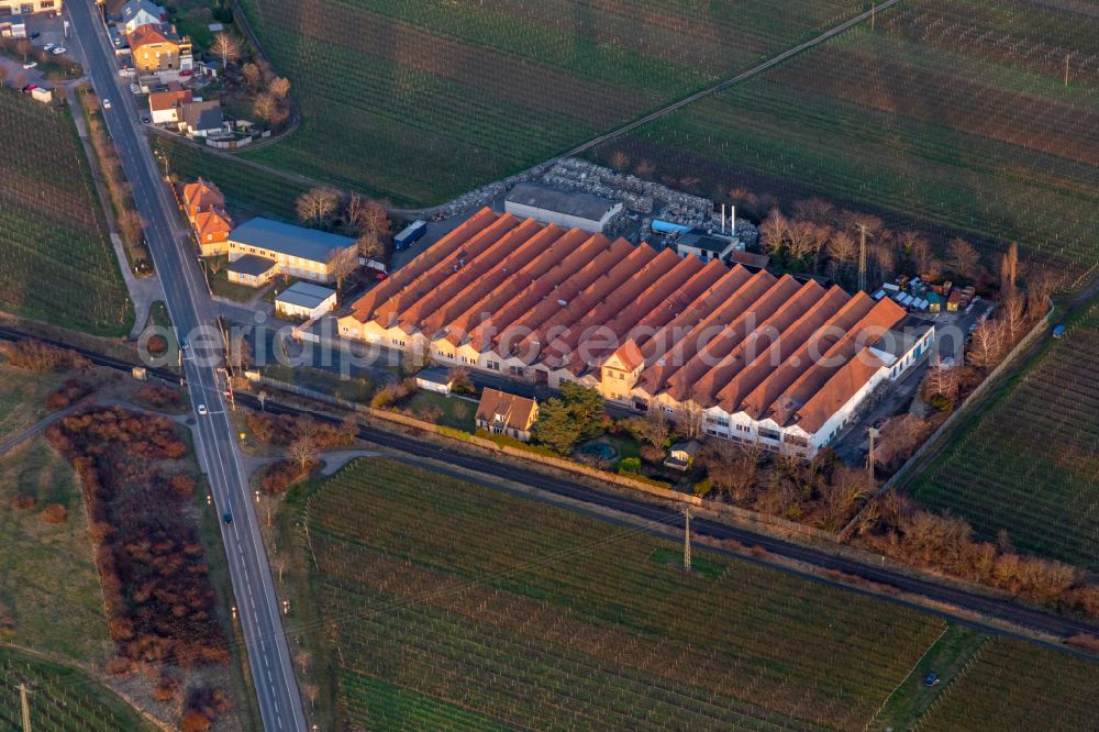 Mußbach from the bird's eye view: Building of the indoor arena METALLWERK on street An der Eselshaut in Mussbach in the state Rhineland-Palatinate, Germany