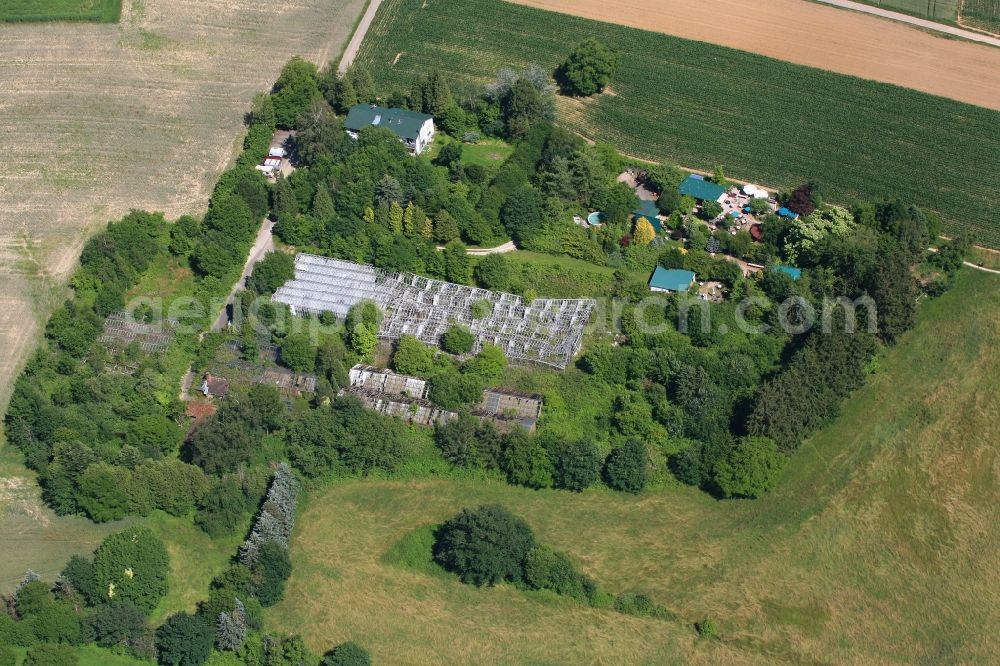 Aerial image Rheinfelden (Baden) - Decaying greenhouse rows in the area of a former nursery in the district Adelhausen in Rheinfelden (Baden) in the state Baden-Wurttemberg, Germany