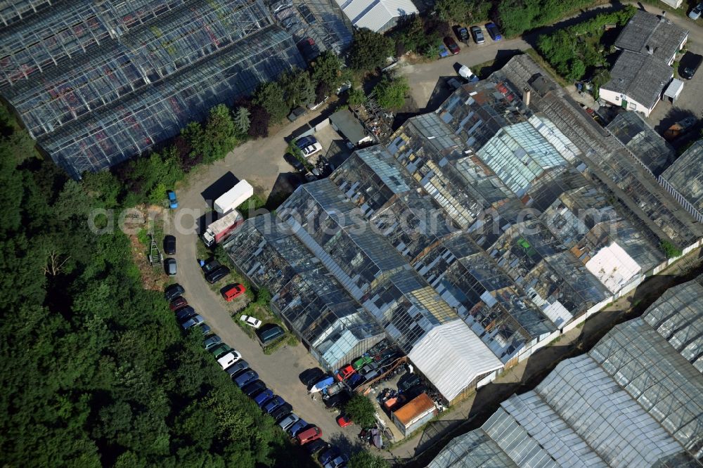 Aerial image Berlin - With scrap and garbage-filled, decaying greenhouse rows on Gockelweg in Berlin in Germany