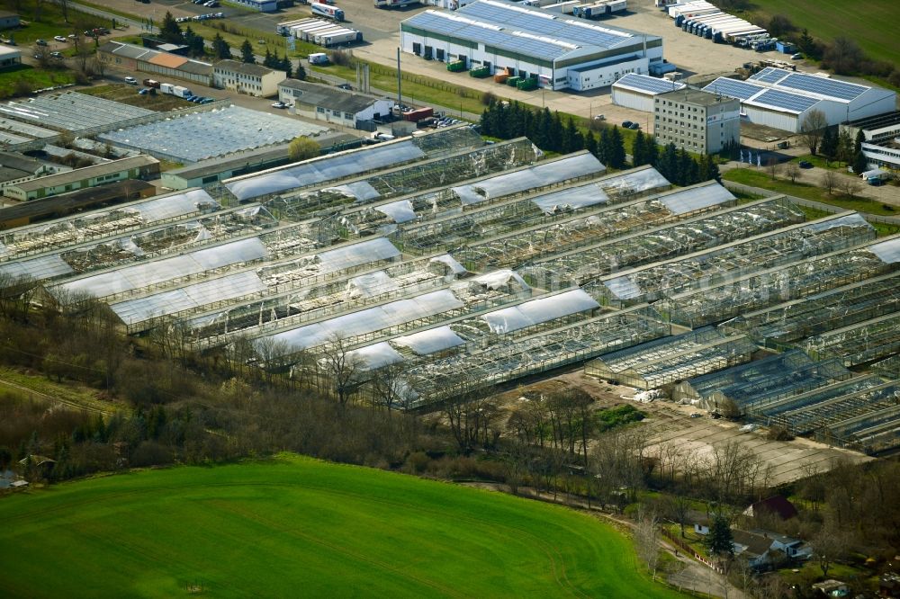 Aerial image Erfurt - Decaying rows of greenhouses in the MIT582 Horticulture Alte Mittelhaeuser Strasse in the district of Mittelhausen in Erfurt in the state Thuringia, Germany