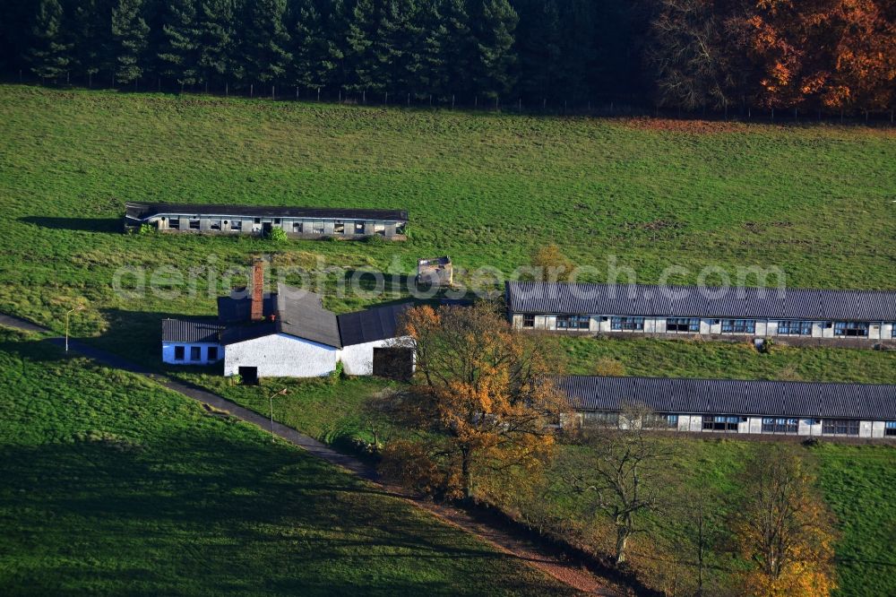 Aerial photograph Grünow - Decaying remnants of ruins of stables and barracks of animal breeding operation in Grünow in Mecklenburg - Western Pomerania