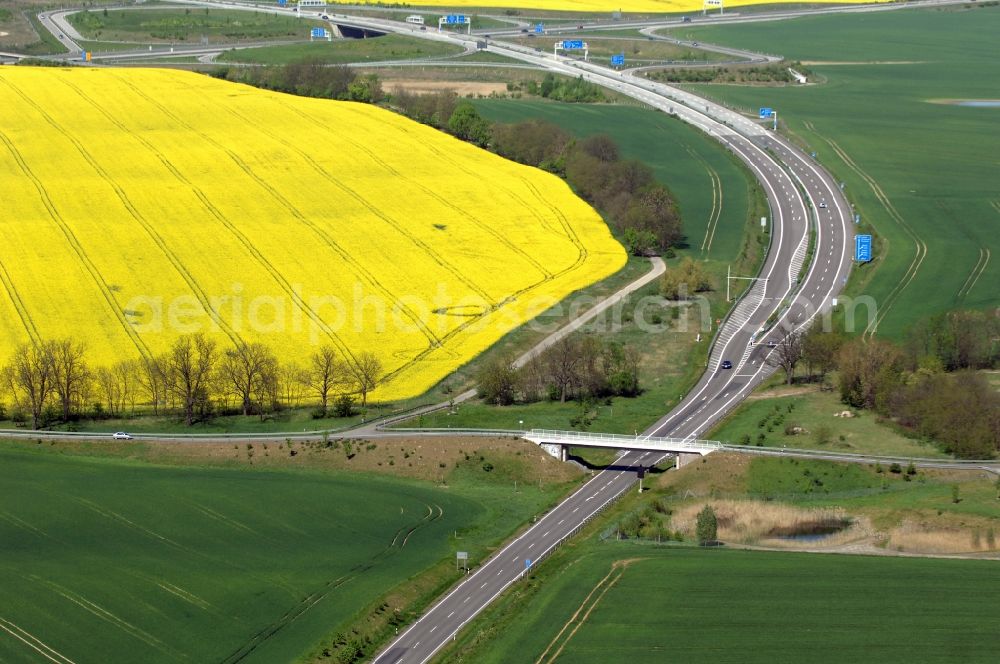 Aerial photograph Gramzow - Traffic flow at the intersection- motorway A 20 - A11 in Gramzow in the state Brandenburg, Germany