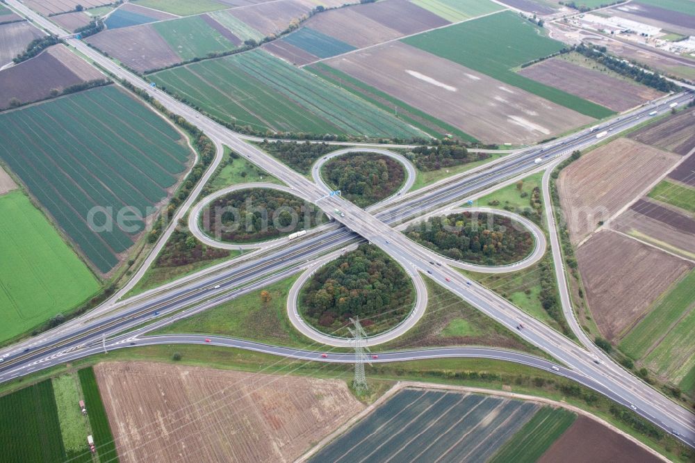 Aerial image Mutterstadt - Traffic flow at the intersection- motorway A 65 und A61 in Mutterstadt in the state Rhineland-Palatinate