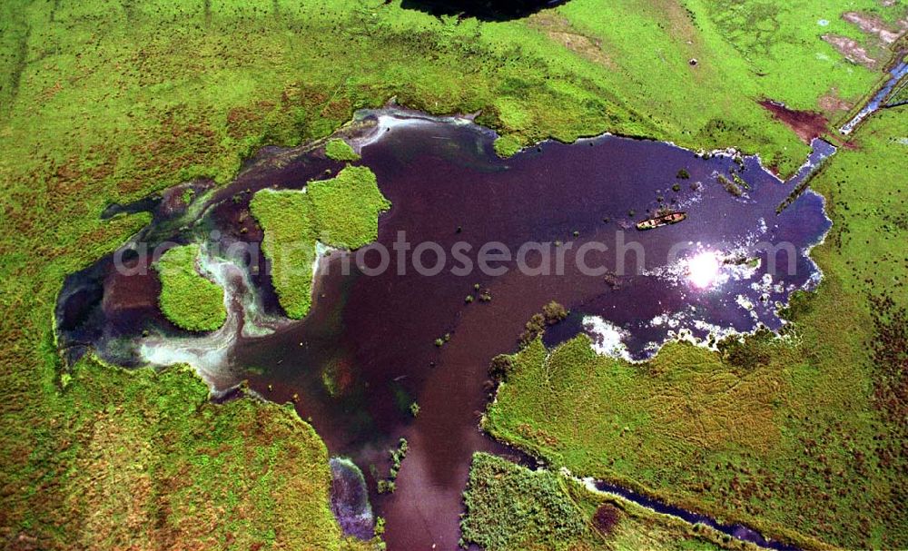 Aerial photograph Heinersdorf / Brandenburg - Verlandeter Flußarm bei Heinersdorf mit Schiffswrack.