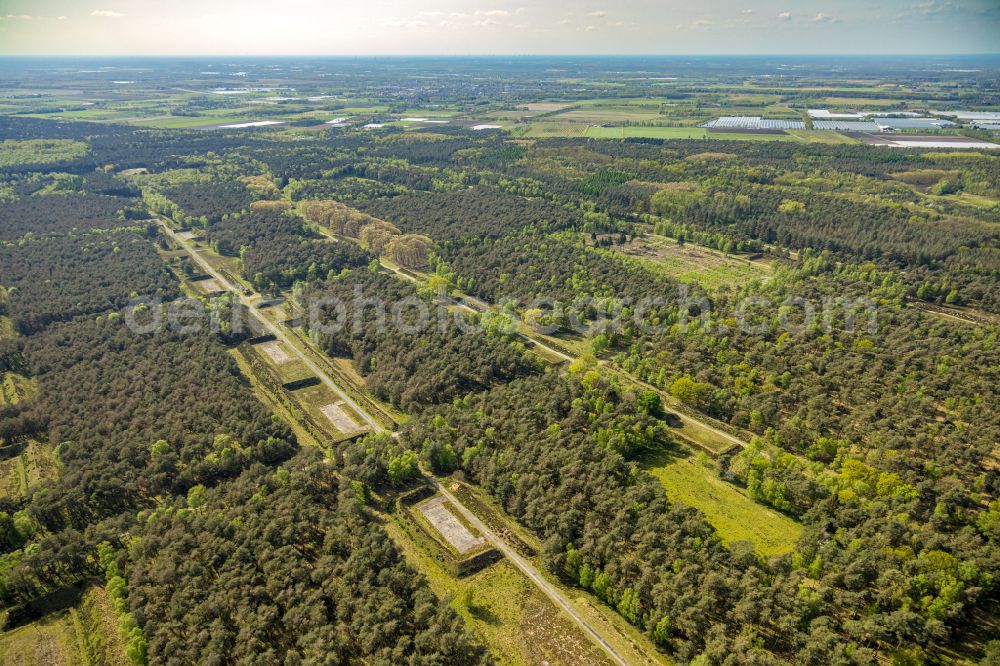 Aerial photograph Brüggen - Abandoned bunker building complex and ammunition depots in a forest area of the nature reserve NSG Brachter Wald in Brueggen in the federal state of North Rhine-Westphalia, Germany