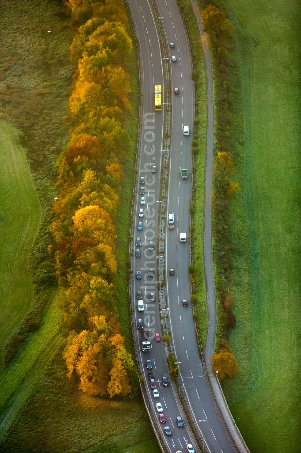 Überruhr - Hinsel - Essen from above - View on the road Marie- Juchacz- Strasse with lines of trees in Essen in the state North Rhine-Westphalia