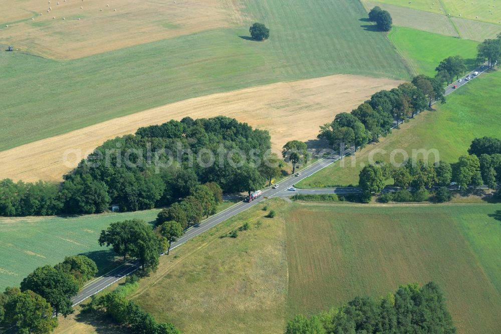 Aerial photograph Rehfelde - Crossroads of federal highway B1/B5 and county road L385 in Rehfelde in the state of Brandenburg. The road is taking its course amidst fields and wooded areas