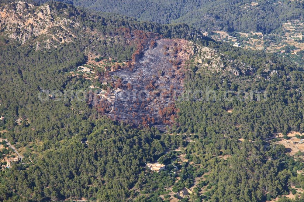 Aerial photograph Andratx - Damage by the Great Fire - destroyed forest fire tree population in a wooded area - forest terrain in Andratx in Mallorca in Balearic Islands, Spain