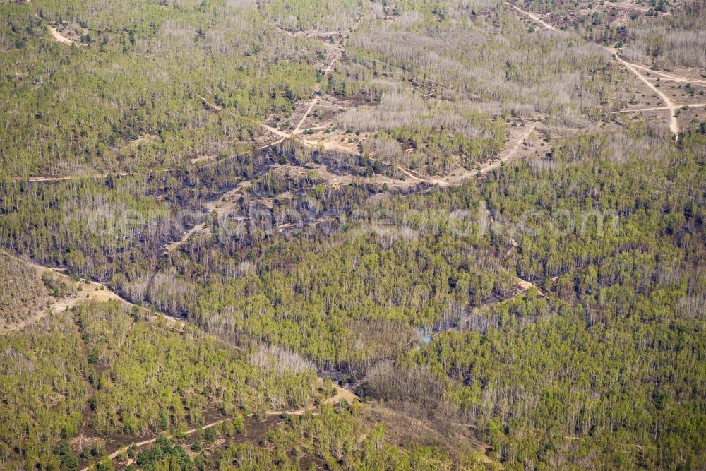 Jüterbog from above - Damage by the Great Fire - destroyed forest fire tree population in a wooded area - forest terrain in Jueterbog in the state Brandenburg, Germany