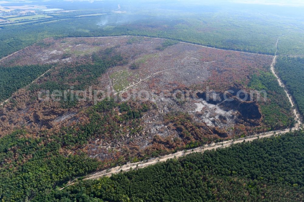 Klausdorf from above - Damage by the Great Fire - destroyed forest fire tree population in a wooded area - forest terrain in Klausdorf in the state Brandenburg, Germany