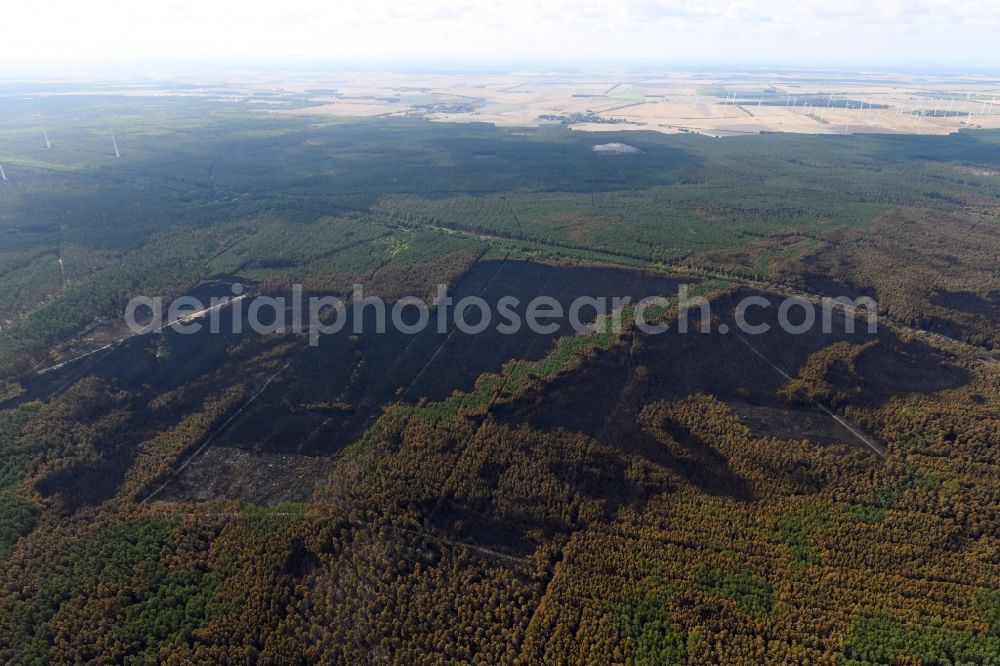 Aerial photograph Klausdorf - Damage by the Great Fire - destroyed forest fire tree population in a wooded area - forest terrain in Klausdorf in the state Brandenburg, Germany