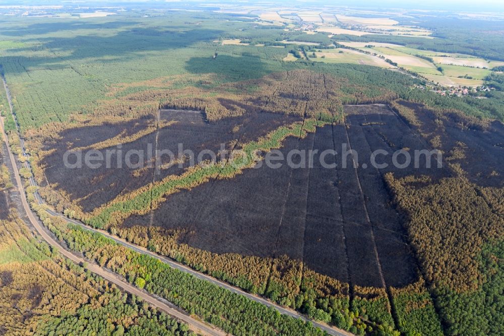 Klausdorf from the bird's eye view: Damage by the Great Fire - destroyed forest fire tree population in a wooded area - forest terrain in Klausdorf in the state Brandenburg, Germany