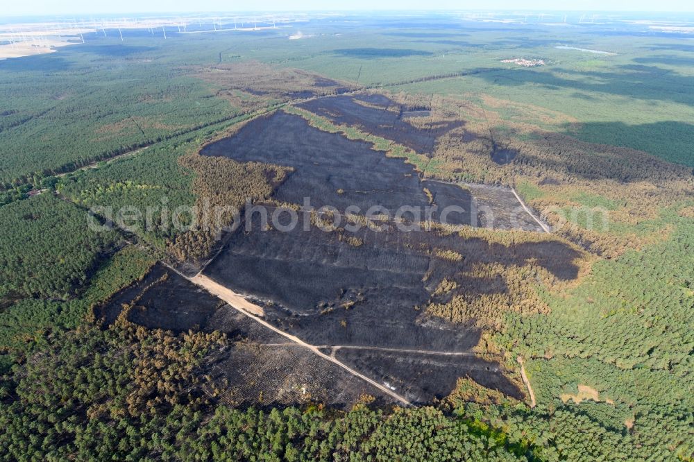 Klausdorf from above - Damage by the Great Fire - destroyed forest fire tree population in a wooded area - forest terrain in Klausdorf in the state Brandenburg, Germany