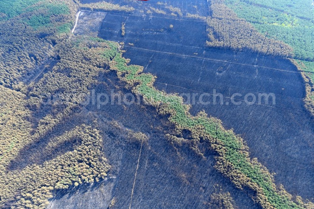 Aerial image Klausdorf - Damage by the Great Fire - destroyed forest fire tree population in a wooded area - forest terrain in Klausdorf in the state Brandenburg, Germany