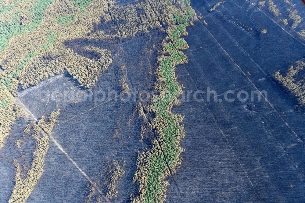 Aerial photograph Klausdorf - Damage by the Great Fire - destroyed forest fire tree population in a wooded area - forest terrain in Klausdorf in the state Brandenburg, Germany