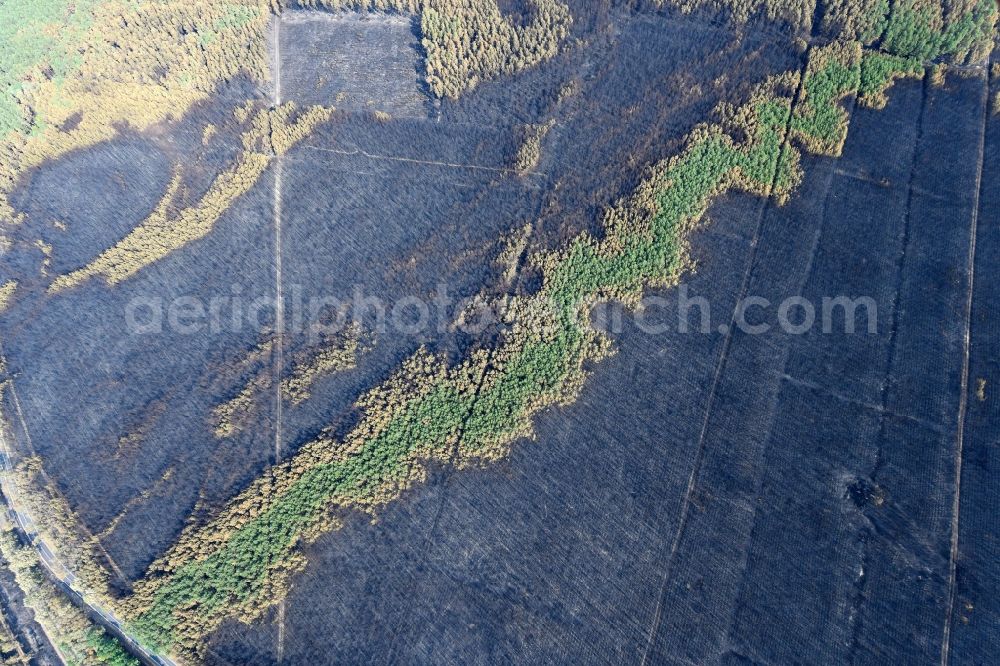 Klausdorf from above - Damage by the Great Fire - destroyed forest fire tree population in a wooded area - forest terrain in Klausdorf in the state Brandenburg, Germany