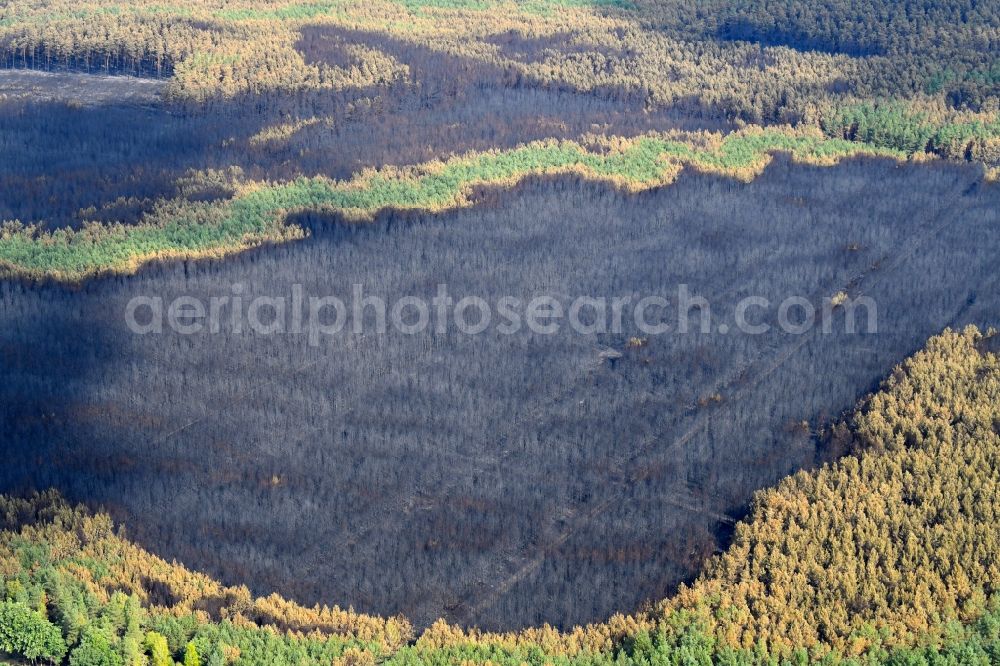 Aerial image Klausdorf - Damage by the Great Fire - destroyed forest fire tree population in a wooded area - forest terrain in Klausdorf in the state Brandenburg, Germany