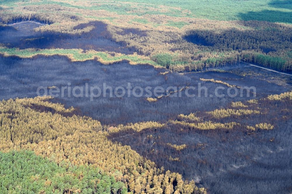 Aerial photograph Klausdorf - Damage by the Great Fire - destroyed forest fire tree population in a wooded area - forest terrain in Klausdorf in the state Brandenburg, Germany