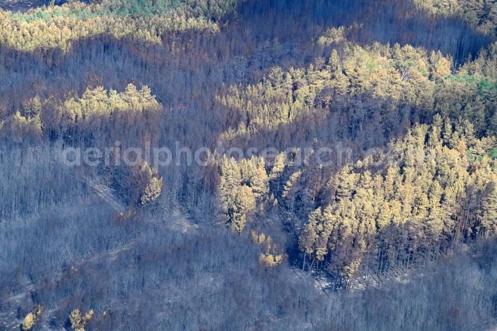 Klausdorf from above - Damage by the Great Fire - destroyed forest fire tree population in a wooded area - forest terrain in Klausdorf in the state Brandenburg, Germany