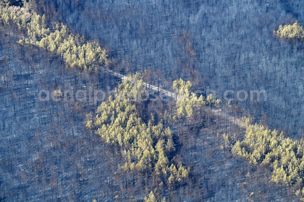 Aerial image Klausdorf - Damage by the Great Fire - destroyed forest fire tree population in a wooded area - forest terrain in Klausdorf in the state Brandenburg, Germany