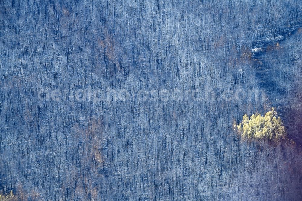 Aerial photograph Klausdorf - Damage by the Great Fire - destroyed forest fire tree population in a wooded area - forest terrain in Klausdorf in the state Brandenburg, Germany