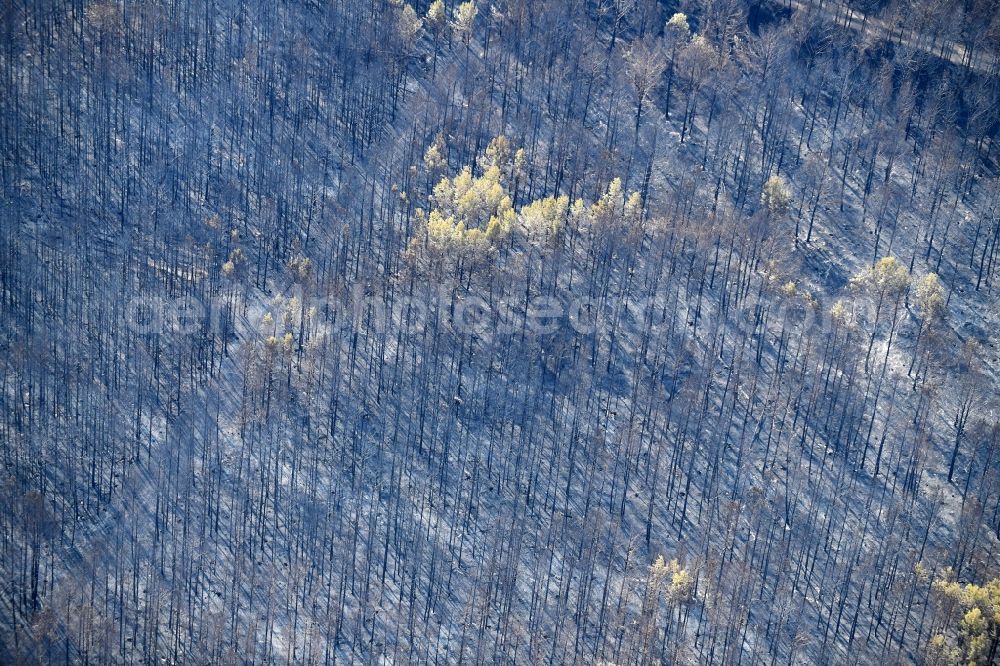 Klausdorf from above - Damage by the Great Fire - destroyed forest fire tree population in a wooded area - forest terrain in Klausdorf in the state Brandenburg, Germany