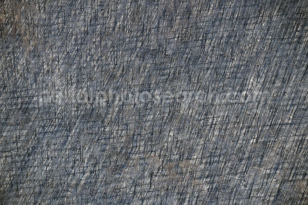 Klausdorf from the bird's eye view: Damage by the Great Fire - destroyed forest fire tree population in a wooded area - forest terrain in Klausdorf in the state Brandenburg, Germany