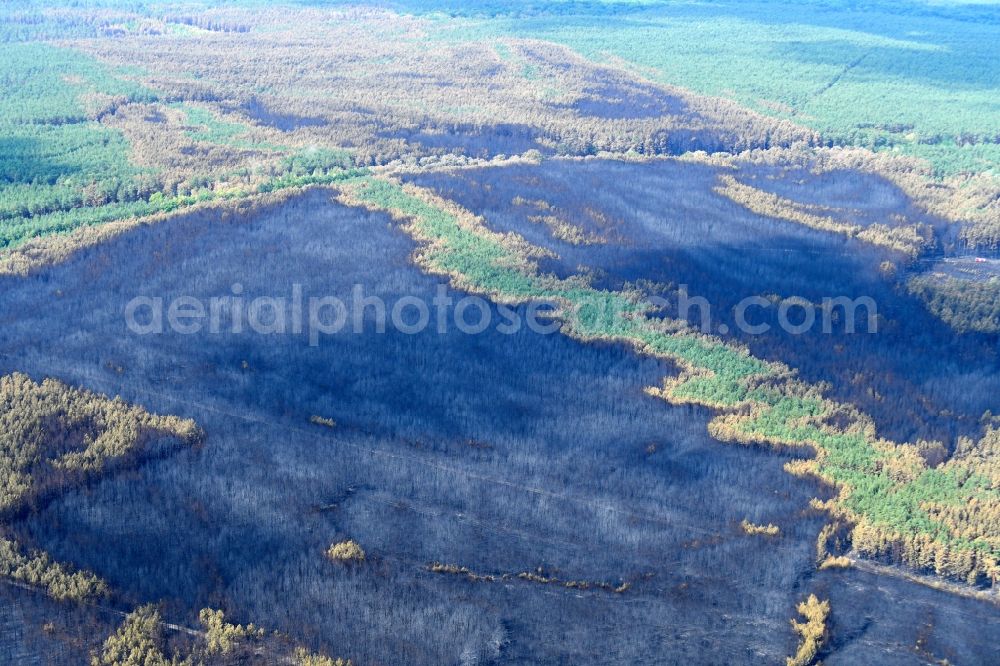 Klausdorf from the bird's eye view: Damage by the Great Fire - destroyed forest fire tree population in a wooded area - forest terrain in Klausdorf in the state Brandenburg, Germany