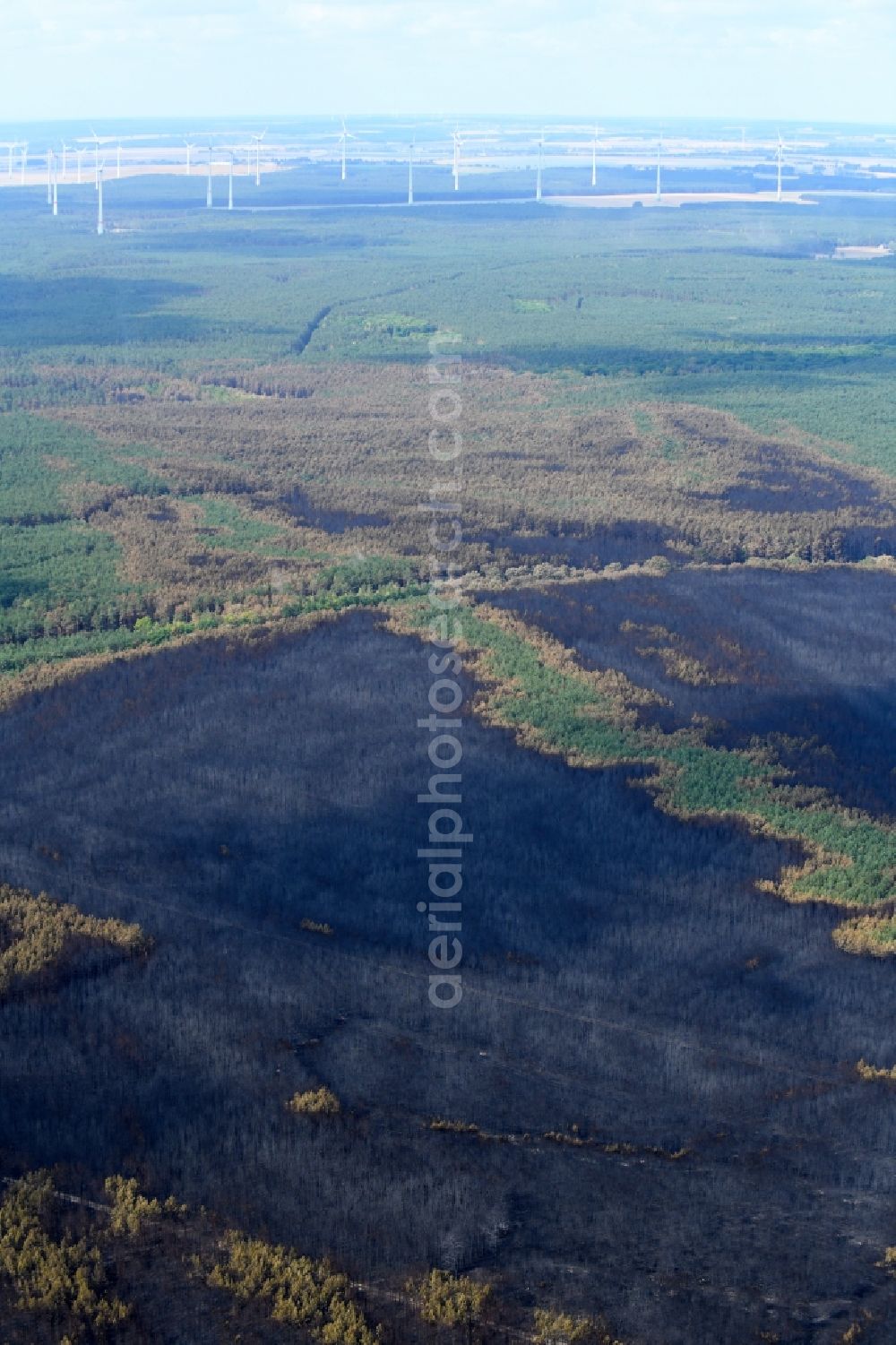 Aerial image Klausdorf - Damage by the Great Fire - destroyed forest fire tree population in a wooded area - forest terrain in Klausdorf in the state Brandenburg, Germany