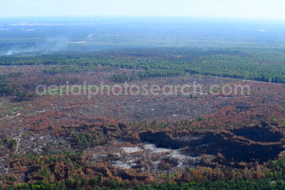 Aerial photograph Klausdorf - Damage by the Great Fire - destroyed forest fire tree population in a wooded area - forest terrain in Klausdorf in the state Brandenburg, Germany