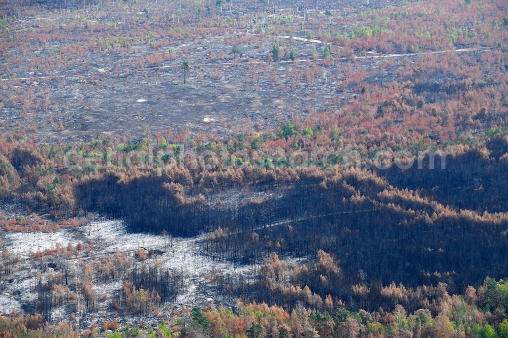 Klausdorf from above - Damage by the Great Fire - destroyed forest fire tree population in a wooded area - forest terrain in Klausdorf in the state Brandenburg, Germany