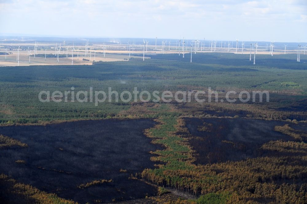 Klausdorf from above - Damage by the Great Fire - destroyed forest fire tree population in a wooded area - forest terrain in Klausdorf in the state Brandenburg, Germany