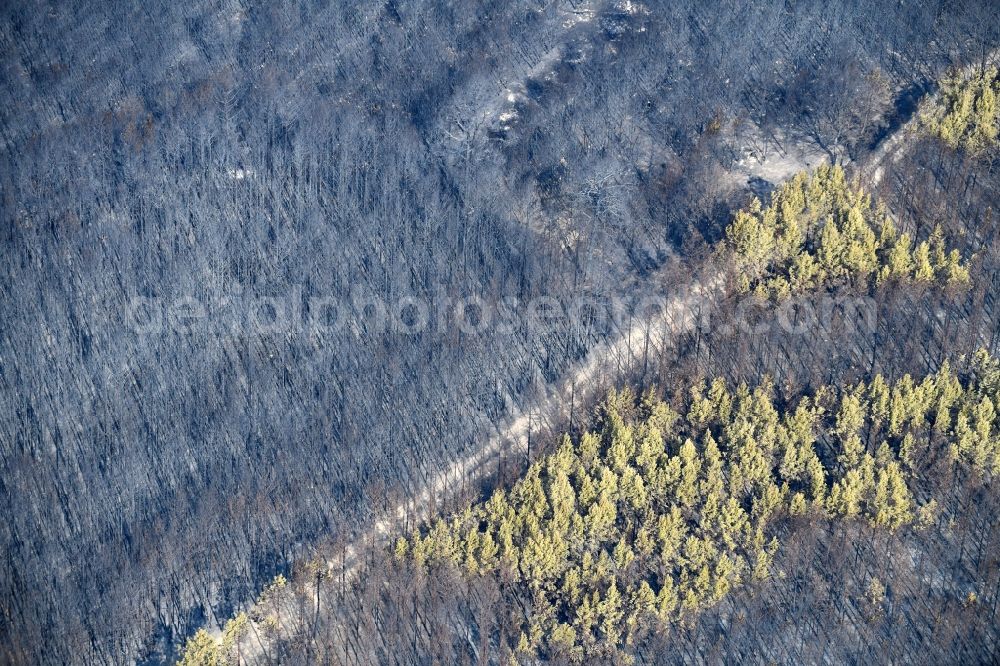 Aerial image Klausdorf - Damage by the Great Fire - destroyed forest fire tree population in a wooded area - forest terrain in Klausdorf in the state Brandenburg, Germany