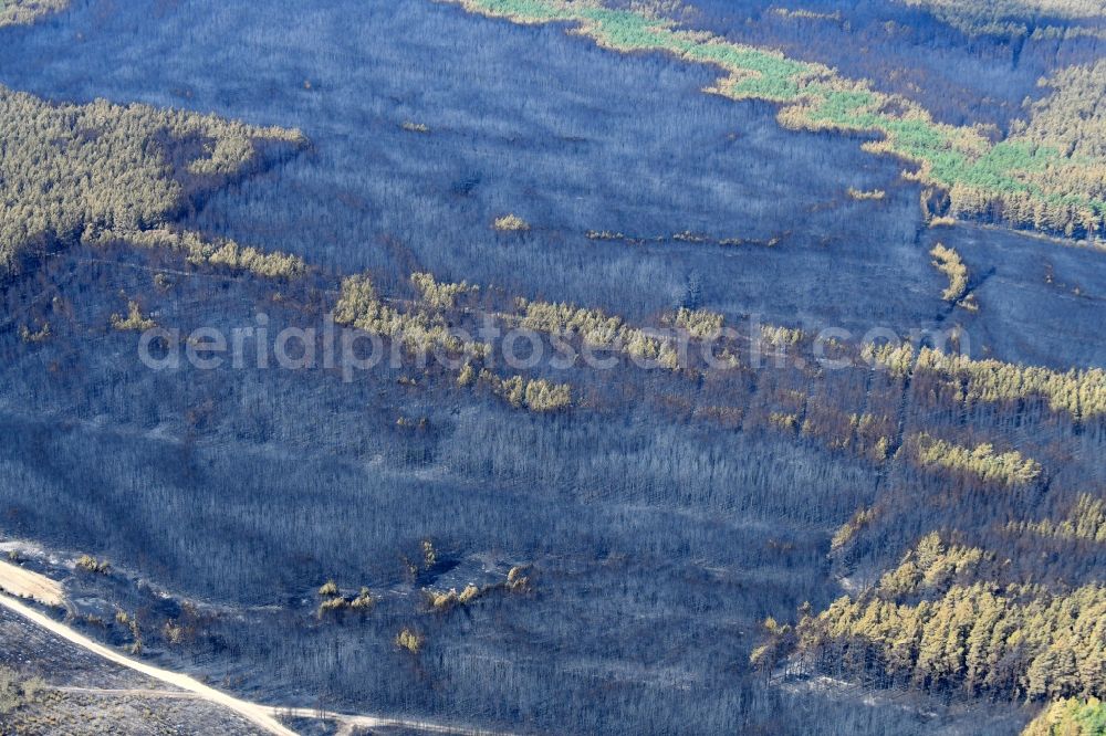 Aerial photograph Klausdorf - Damage by the Great Fire - destroyed forest fire tree population in a wooded area - forest terrain in Klausdorf in the state Brandenburg, Germany