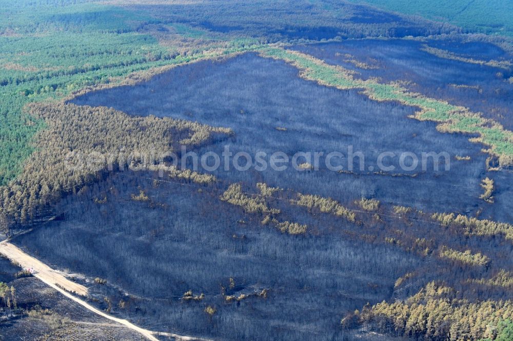 Klausdorf from above - Damage by the Great Fire - destroyed forest fire tree population in a wooded area - forest terrain in Klausdorf in the state Brandenburg, Germany