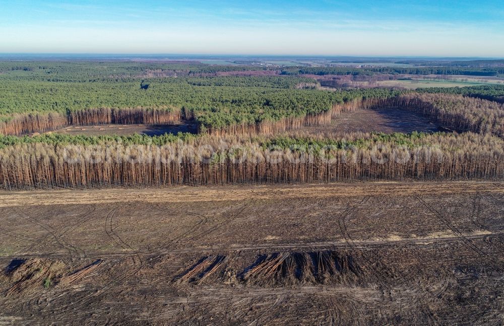 Aerial image Klausdorf - Damage by the Great Fire - destroyed forest fire tree population in a wooded area - forest terrain in Treuenbrietzen in the state Brandenburg, Germany