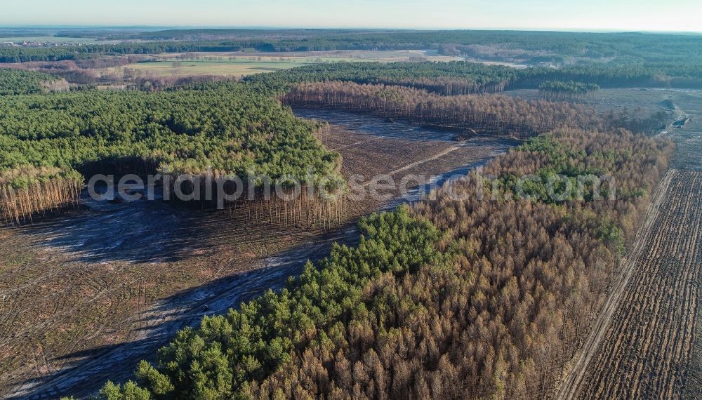 Aerial photograph Klausdorf - Damage by the Great Fire - destroyed forest fire tree population in a wooded area - forest terrain in Treuenbrietzen in the state Brandenburg, Germany