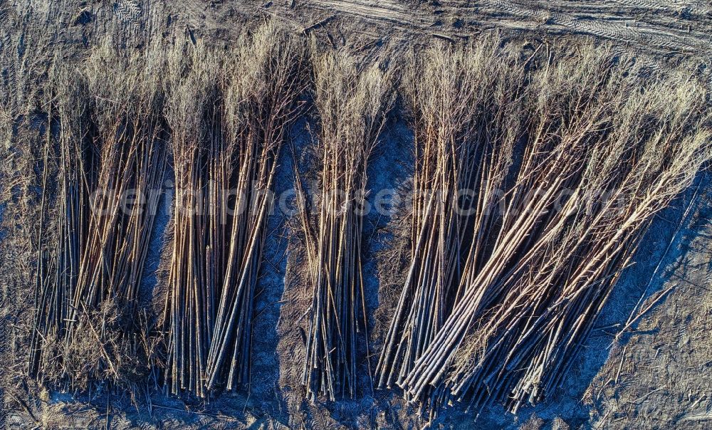 Klausdorf from above - Damage by the Great Fire - destroyed forest fire tree population in a wooded area - forest terrain in Treuenbrietzen in the state Brandenburg, Germany