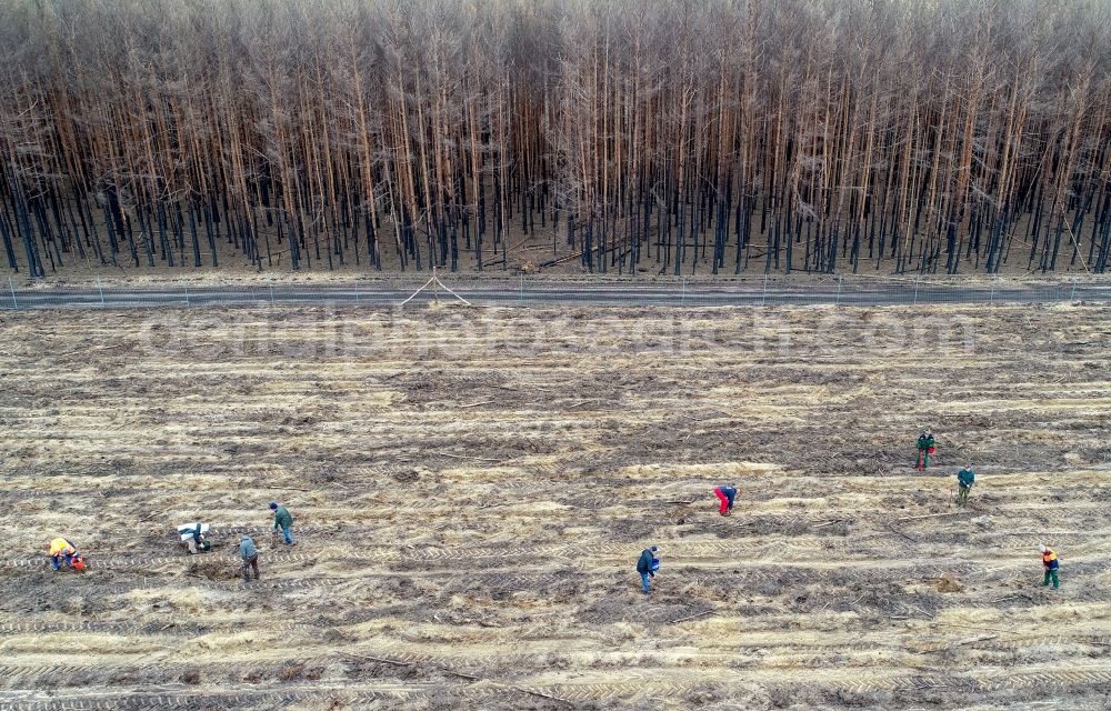 Klausdorf from the bird's eye view: Damage by the Great Fire - destroyed forest fire tree population in a wooded area - forest terrain in Treuenbrietzen in the state Brandenburg, Germany